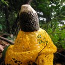 무지랭이 약수터 이미지