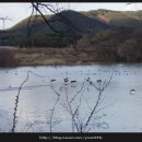 야촌(위) 이미지