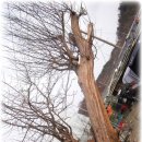 성헌농장 이미지