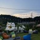 신기로 | 신기로BBQ라운지