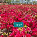 오성농원 이미지