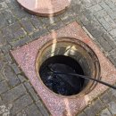 강서중학교 이미지