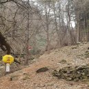 향림원. | (여주)주어사지