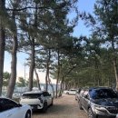 고래불바이크펜션