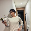 코쿤 이미지