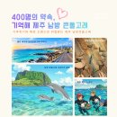 400명의 약속, 기억해 제주 남방 큰돌고래 이미지