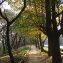 활터약수터 이미지