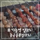 중국양꼬치 | # - 가능역 양꼬치, 중국동북양꼬치 후기!(+손만두,온면)