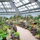 고요의계절 이미지