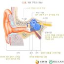 전파무기 이미지