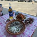 한홍 | 오징어난전11호 일광호 한흥호 바다 보며 먹는 오징어회 통찜 무침 : 가격 시세 싯가 주차 내돈내산 후기