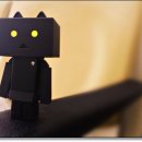 윈치과의원 이미지