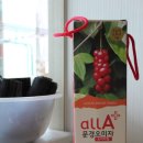 청목농장 | [몽자이벤트]청목농원 친환경오미자원액, 오미자즙 드려요.