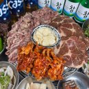 진갈매기 이미지