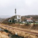 봉평고향메밀촌 이미지