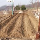 아내의 텃밭 이미지