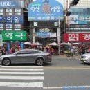 어시장 기업은행 앞 | 2016 마산어시장축제 (가을 전어) 다녀온 후기