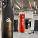 더뉴복싱 이미지