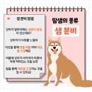 movepet 이미지