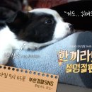 한끼라도 이미지