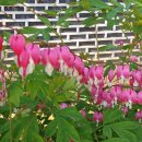 국제대로 이미지