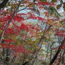 NR-38[영월로]-하-74 | 산림청과 블랙야크의 100대 명산을 완등하다 (2017.11.18)