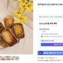 제주애단비 마주 이미지