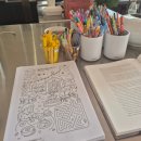 571 | 광주근교 브런치카페 추천 장성 로사브릭스571 솔직후기