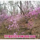 마이홈공인중개사사무소 이미지