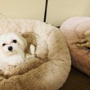 용율 이미지