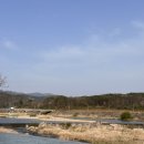 리버벨리 이미지