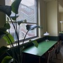 가비마실(Gabeemasil) 이미지