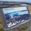 월정체육관 이미지