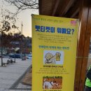 와룡(아래)공원 이미지