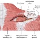 영등한방병원 이미지