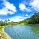 대명골프연습장 | 괌 골프장 소노펠리체 탈로포포CC 자유여행 1인 비용 라운드 후기