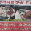 영덕고등학교 후문 이미지