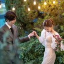 디스튜디오 이미지
