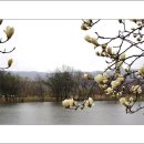 경안천습지생태공원 이미지