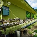 예그리나B