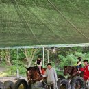 여수마상승마장