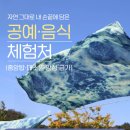 자연 그대로 내 손끝에 담은 공예·음식 체험처