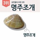 조개의 종류외 특성(3) 이미지