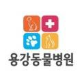 용강동물병원 이미지