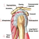 남악한방병원 이미지
