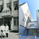 원동물병원 이미지