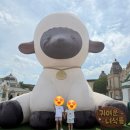 백호카랜드 | 에버랜드 나이트 사파리 부터 서커스 윙즈 오브 메모리 아마존익스프레스 알찬 하루 후기