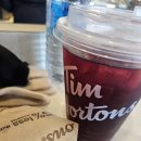 G001 | 3주간의 캐나다(토론토) 혼자여행 후기