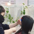 해봄붙임머리 | 신림붙임머리 추천 받고 봄맞이 리터치 후기