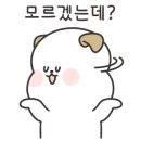닥터페이퍼
